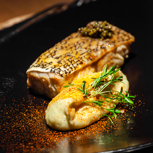 culinary_500x500.jpg